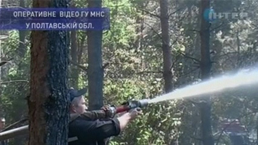 Пожарные Полтавщины успешно погасили лесной пожар