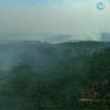 В Аризоне продолжаются лесные пожары