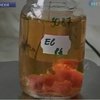 Чехи ищут опасную кишечную инфекцию в мясе