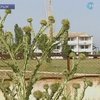 Чиновники отправили детей в разгромленный детский лагерь