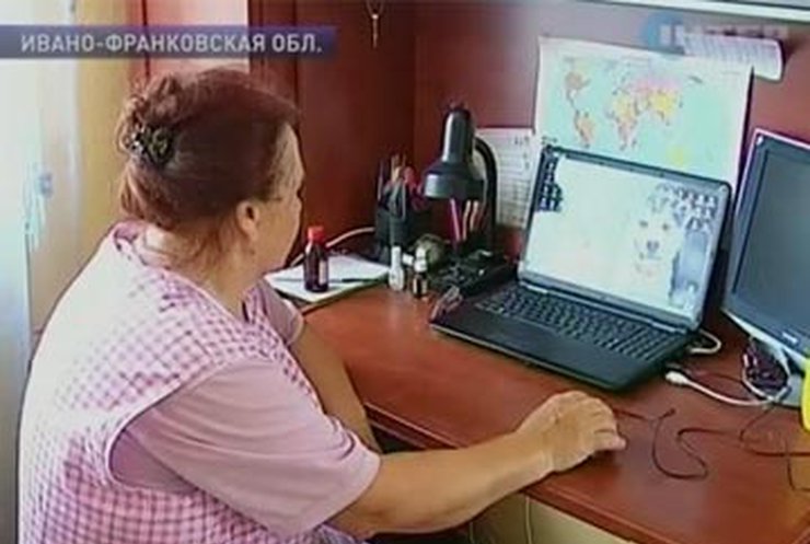 Украинским селянам предложили продавать продукцию в интернете