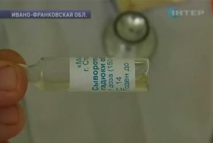 В Украине начался "змеиный" сезон, а сыворотки против яда нет