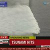 Японское цунами оказалось сильнее, чем думали ученые