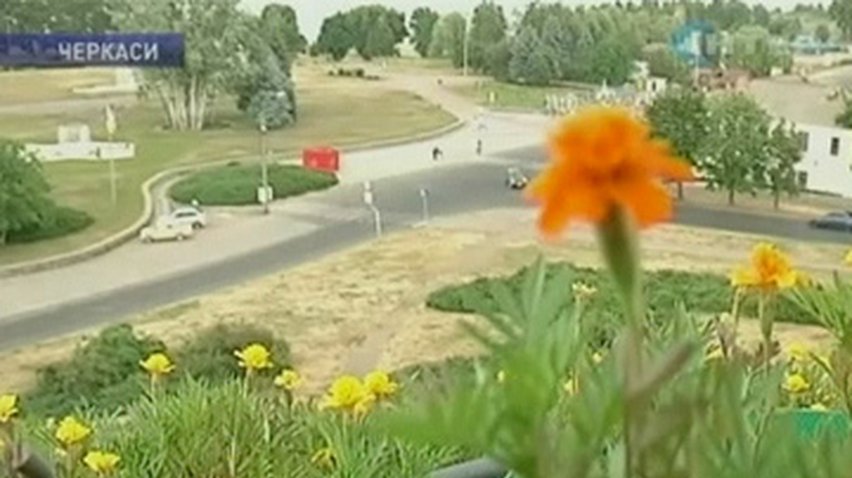 В Черкассах создали огромный цветочный герб