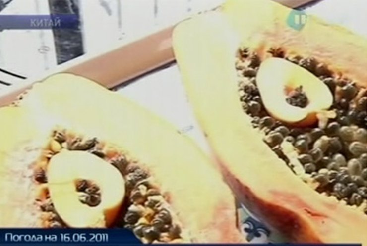 В Китае выросла папайя-матрешка