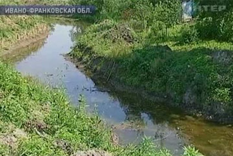 Жители прикарпатского городка просят спасти их от химикатов