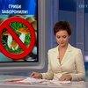 Из-за массовых отравлений на Днепропетровщине запретили продавать грибы