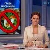 В Днепропетровксой области запретили продавать грибы