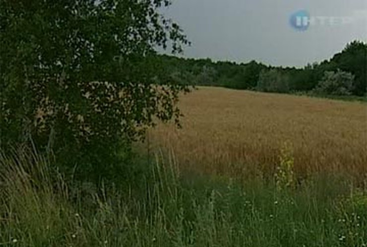 Более трети сельхозземель в Украине не внесены в земельный кадастр