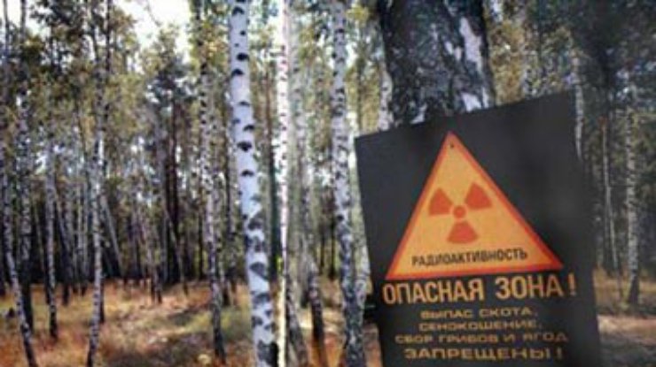ООН: Чернобыльская зона безопасна для проживания