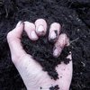 Рада утвердила правила регистрации земли