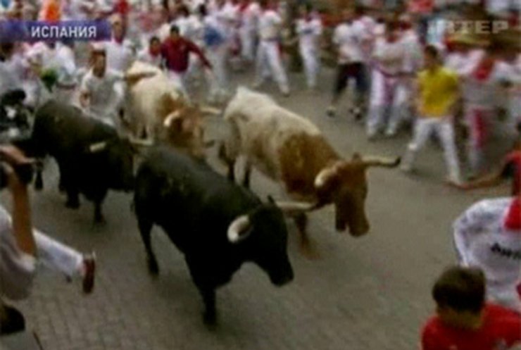 В Памплоне в первый день забега быков пострадали четыре человека