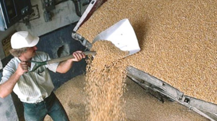 Карантинная инспекция заблокировала работу транснациональных компаний на рынке зерна