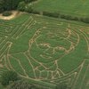 Англичанин создал 50 метровый портрет-лабиринт Гарри Поттера