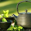 Зеленый чай "убивает" почки и печень - ученые