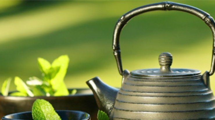 Зеленый чай "убивает" почки и печень - ученые