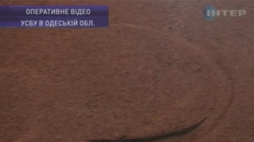 В Одесской области продавали зерно из Аграрного фонда