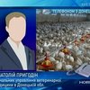 На агроферме в Донецкой области погибло 25 тысяч индюков