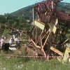 На Закарпатье во время демонтажа крана погибло трое человек