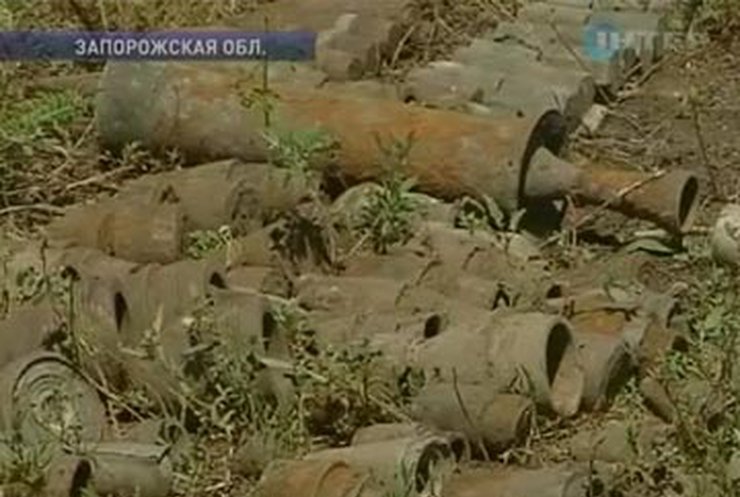 Местные власти отказываются принять земли под Новобогдановкой