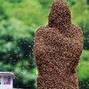 Житель Китая удержал на себе 26 килограммов пчел