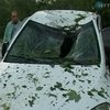 В Тернопольской области прошел ураган