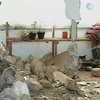 В Центральной Азии в результате землетрясения погибло 14 человек