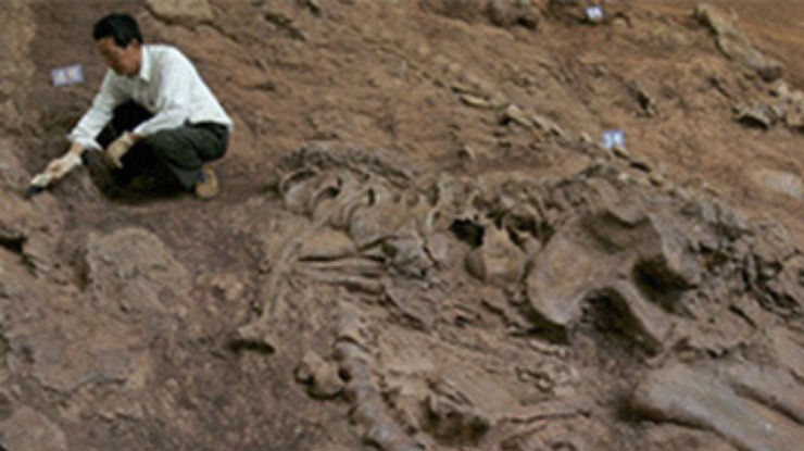 В Китае обнаружены останки беременного динозавра