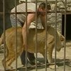 Владелец мини-зверинца намерен провести отпуск с тигрицей в клетке