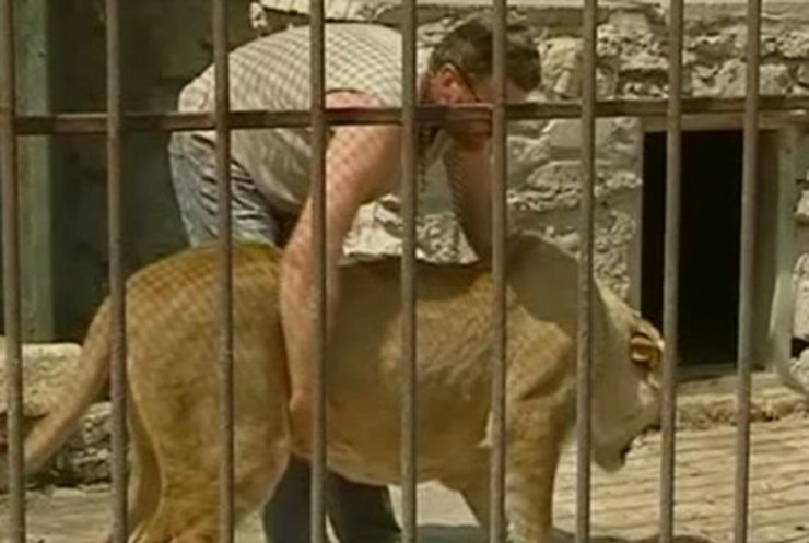 Владелец мини-зверинца намерен провести отпуск с тигрицей в клетке