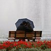 В Петербурге появились автоматы, продающие зонты