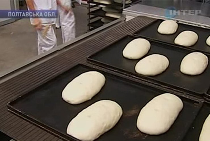 Азаров считает, что в Украине нет повода для повышения цены на хлеб