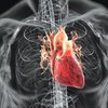 Употребляющие сахар люди рискуют получить проблемы с сердцем