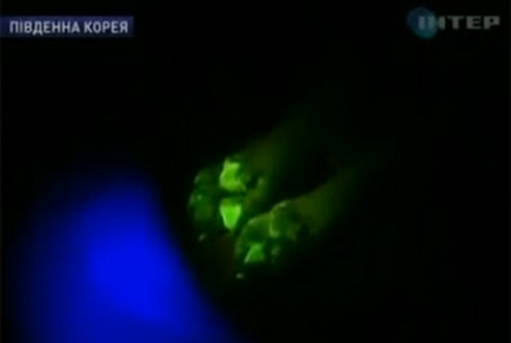 Корейские ученые вывели собаку, светящуюся в ультрафиолете
