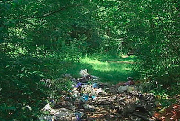 Экологи: Украинские леса завалены мусором