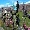Британцам не удалось установить рекордную цепь из бюстгальтеров