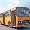 В России пьяный восьмиклассник угнал школьный автобус