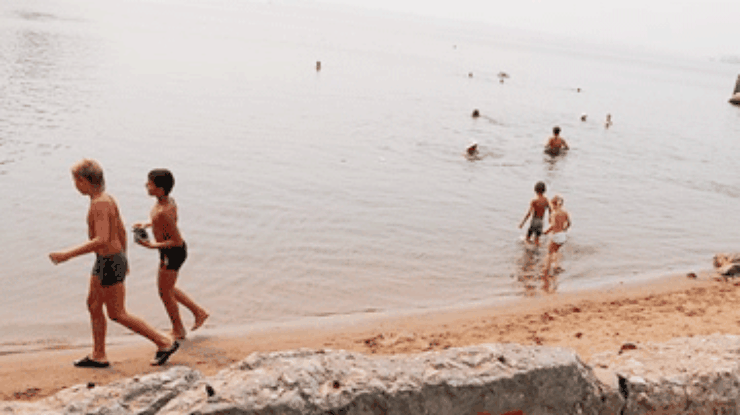 Из-за украинской холеры запретили купаться возле Таганрога