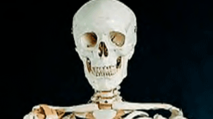 Новозеландская учительница нашла в школьной кладовке человеческий скелет