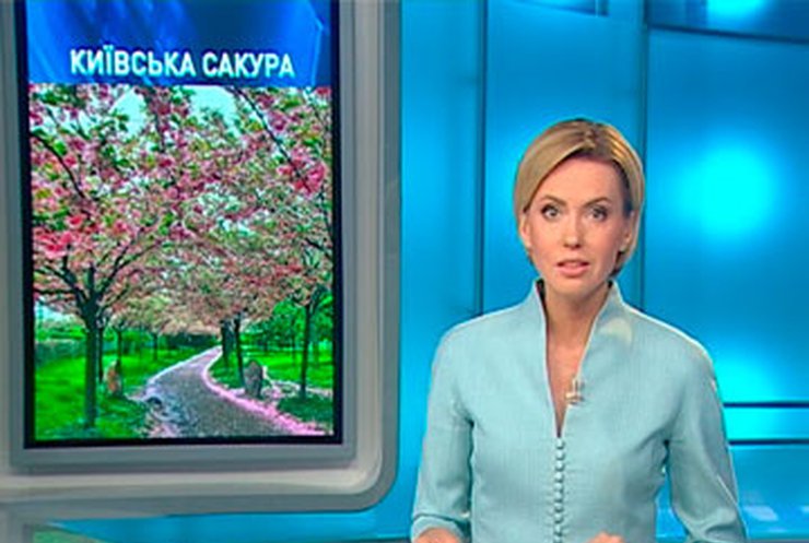 Киевляне смогут насладиться цветом сакуры