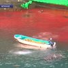 В Японии начался сезон охоты на дельфинов