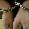 Жителя Калифорнии арестовали за нападение на питона