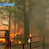 На юге США бушуют лесные пожары