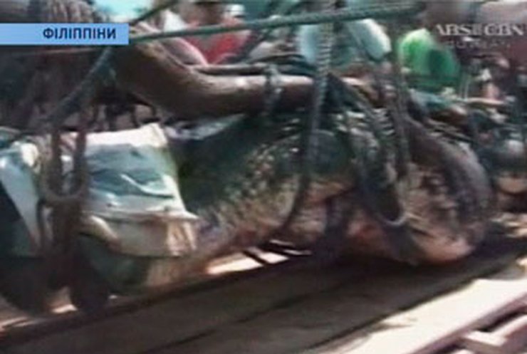 На Филиппинах поймали гигантского крокодила
