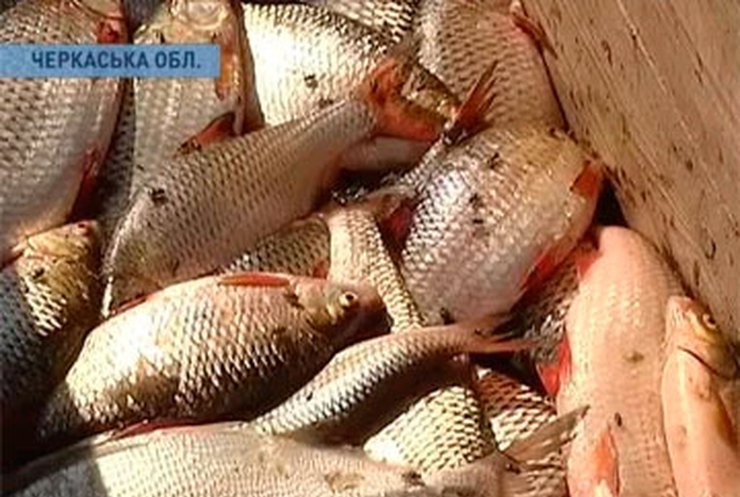 На Черкащине закрыли половину рыбоприемных пунктов
