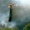 В Техасе разыскивают четырех поджигателей леса