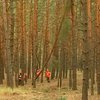 В Днепропетровской области прошли соревнования лесорубов