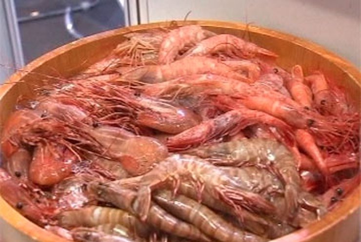 Японские власти уверяют: морепродукты не заражены радиацией