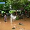 Из-за сильных наводений в Тайланде погибли 85 человек