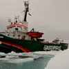 "Гринпис" празднует сорок лет со дня основания